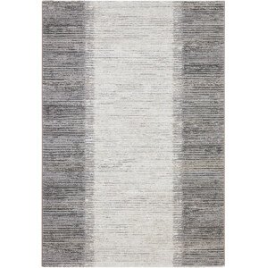 Koberec Ragolle Argentum 63849 9293