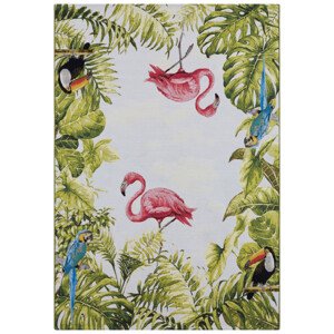 Koberec Hanse Home Flair Tropical Birds vícebarevný