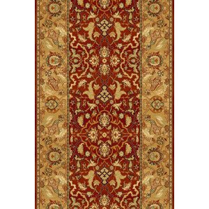 Běhoun Agnella Agnus Hetman Rubin