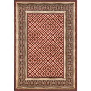 Koberec Agnella Standard Apium Terakota