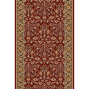 Běhoun Agnella Isfahan Itamar Rubin