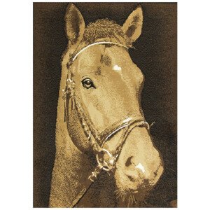 Koberec Nairobi - Kůň 542808/50941, hnědý