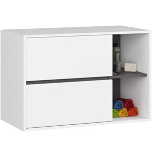 Skříňka pod umyvadlo VAMI W90 2SZ bílá / grafitová