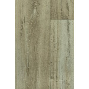 PVC Polaris LIME OAK 690M 300 cm