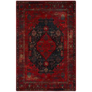 Kusový koberec OMEGA Harun Navy 2458 bC1 300x400 cm