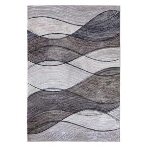 Kusový koberec Modena 7558 Bone/Vizon 80x150 cm