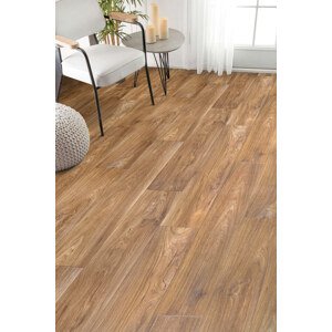 PVC EVOLUTION Wagner 2 350 cm