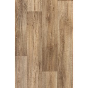 PVC Vector Lime Oak 316M 300 cm