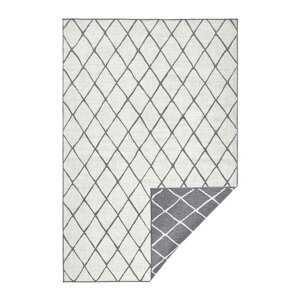 Kusový koberec Northrugs Twin 103118 Grey Cream 200x290 cm