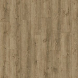 AVVIO - Major Oak 24863