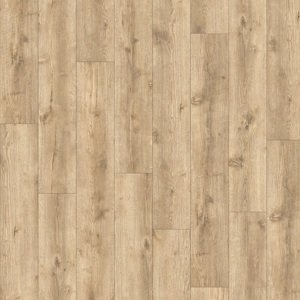 AVVIO - Major Oak 24279