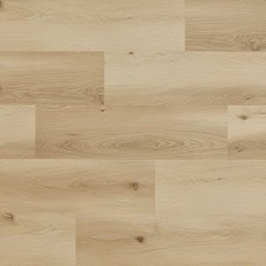 Arbiton Woodric Eir Acoustic Dub Nordland CWSA 207