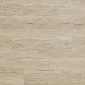 Arbiton Woodric Eir Acoustic Dub Salerno CWSA 209