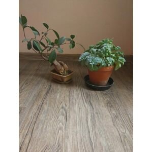Style Floor Jasan Rustik 2854