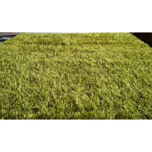 Shaggy Lilou green 93100