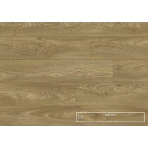 KPP - Euphoria V4 - Atlas Oak 56602