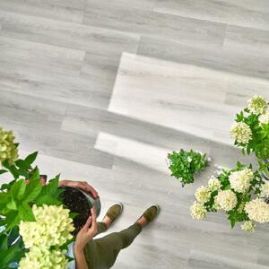 Arbiton Woodric Dub Whitecreek CW 175