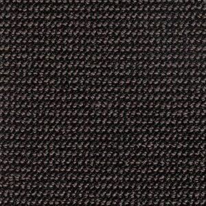 E-Check 41 blacked violet